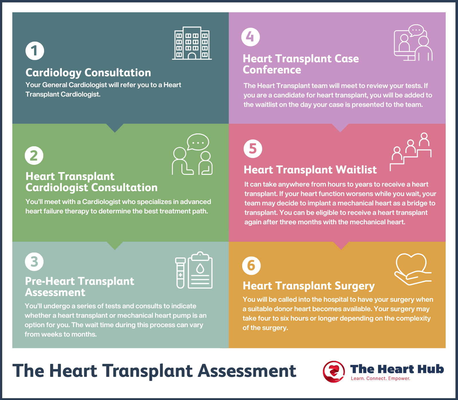 The Heart Transplant Assessment a graphic showing the steps of the heart transplant assessmnet