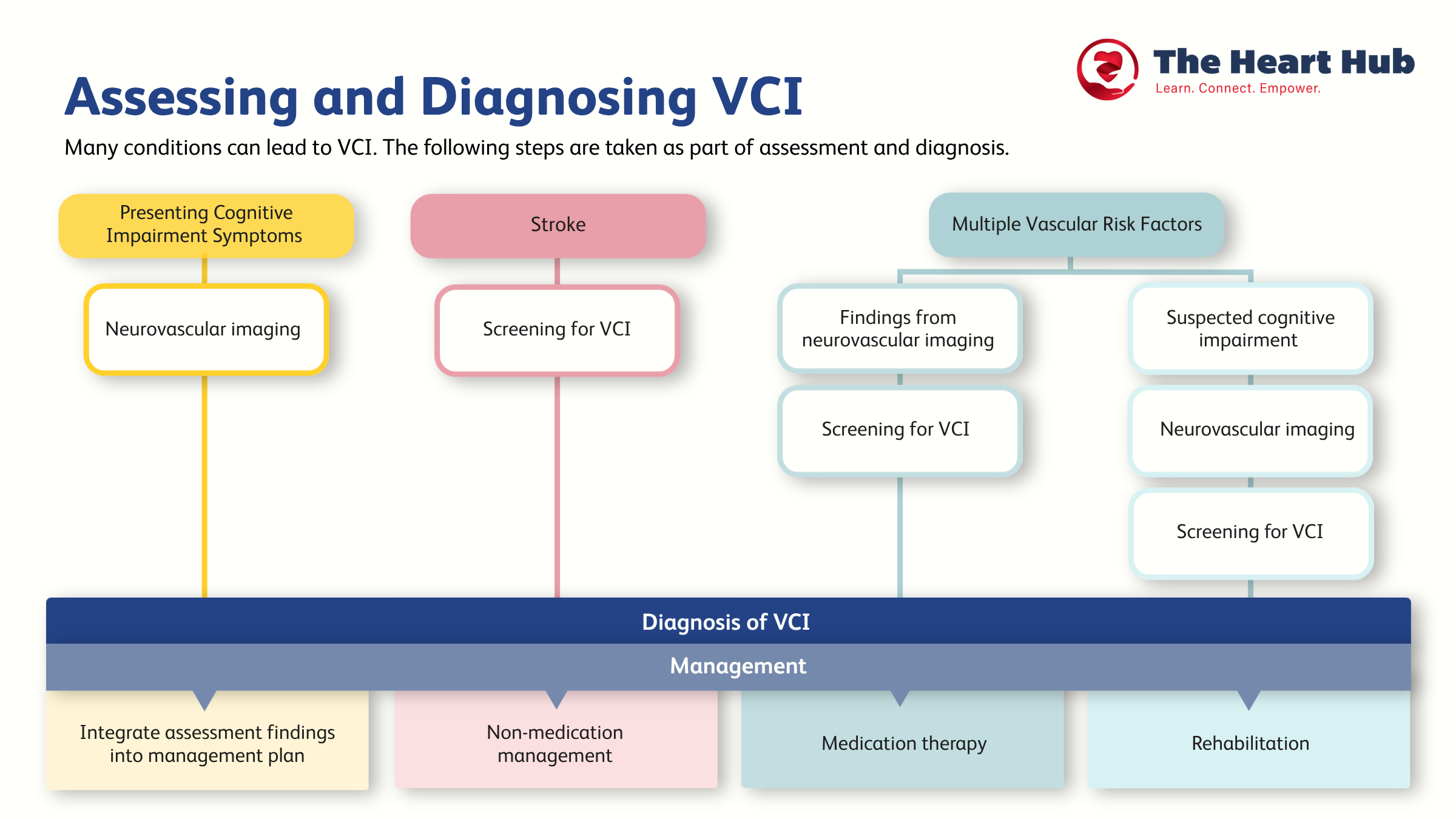 Infographic displaying steps to diagnosing vascular cognitive impairement